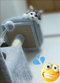 みいな・((( ；ﾟДﾟ)))