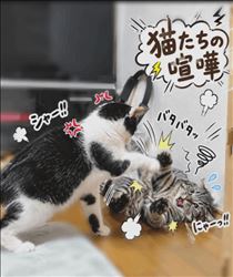 みいな・朝から...