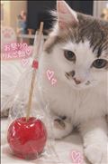 りんご飴🍎