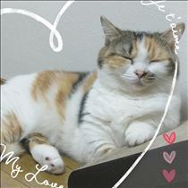 みいな・寒かった～😱