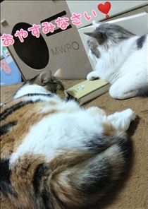 みいな・おやすみなさい♡