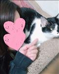 舞台を観た友達夫婦