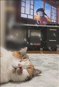 夜のアニメTime