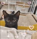 次回の出勤のご報告♡