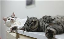 みいな・視線の先では....。