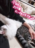 おやすみなさい(´ω｀)