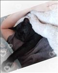 か、可愛すぎて..?