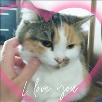 みいな・おやすみなさい♡