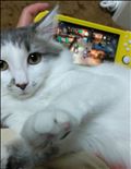 頼むから..