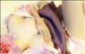 出勤します♡