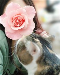 みいな・ありがとうございました♡