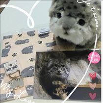 みいな・マヌルグッズ♡
