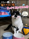 ごめん🤣🙏💦