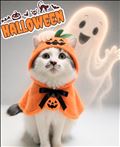 １０月ありがとうございました🎃