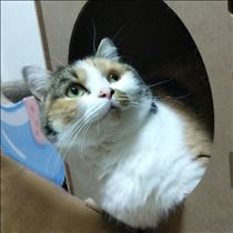 みいな・えぇぇぇ((( ；ﾟДﾟ)))