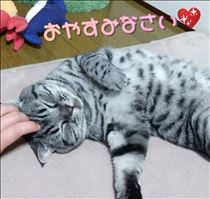 みいな・おやすみなさい💖