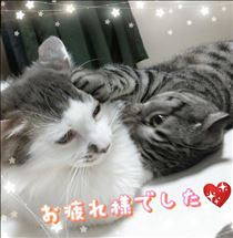 みいな・お疲れ様でした(´∀ `*)