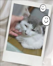 みいな・元気いっぱい😊