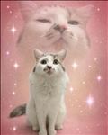 甘え上手の末っ子♡