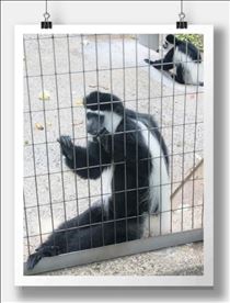 みいな・昨日出逢った彼🐒
