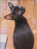まるでジジ😚