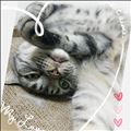 寝る前の癒し♡