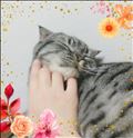 雨だねぇ～。