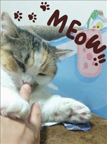 みいな・匂いチェック