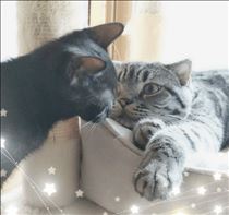 みいな・明日はお休み🗓️