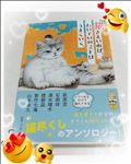 夜の読書Time📖🌙✨