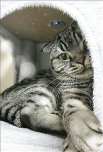 みいな・おやすみなさい💤