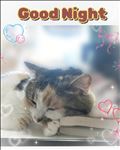 おやすみなさい💤