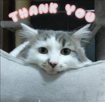 みいな・今週の感謝🎀✨