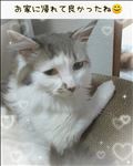 夜の動物病院🐈️🏥