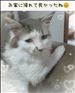 夜の動物病院🐈️🏥