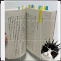 読書中のみいな📚️🐱