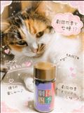 何故かグッズ売場に....