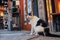 みいな・みんな大好き岩合さん😸