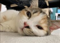 みいな・おやすみなさい♡