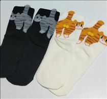 みいな・タマタマ靴下😸