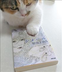 みいな・本日のお猫さまおすすめの本はこちら📚️✨