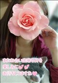 11月スタート