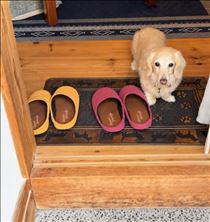 みいな・犬がお出迎えしてくれるブックカフェ📚️🐶