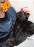 お疲れ様です♡