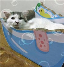 みいな・お疲れ様です(´∀ `*)