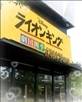劇団四季「ライオンキング🦁」
