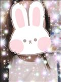 6月スタート
