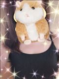13日　よろしくお願いします