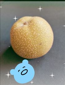 みほ・今日の合言葉