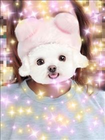 みほ・16日　よろしくお願いします